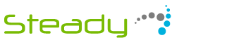 SteadyNet logo